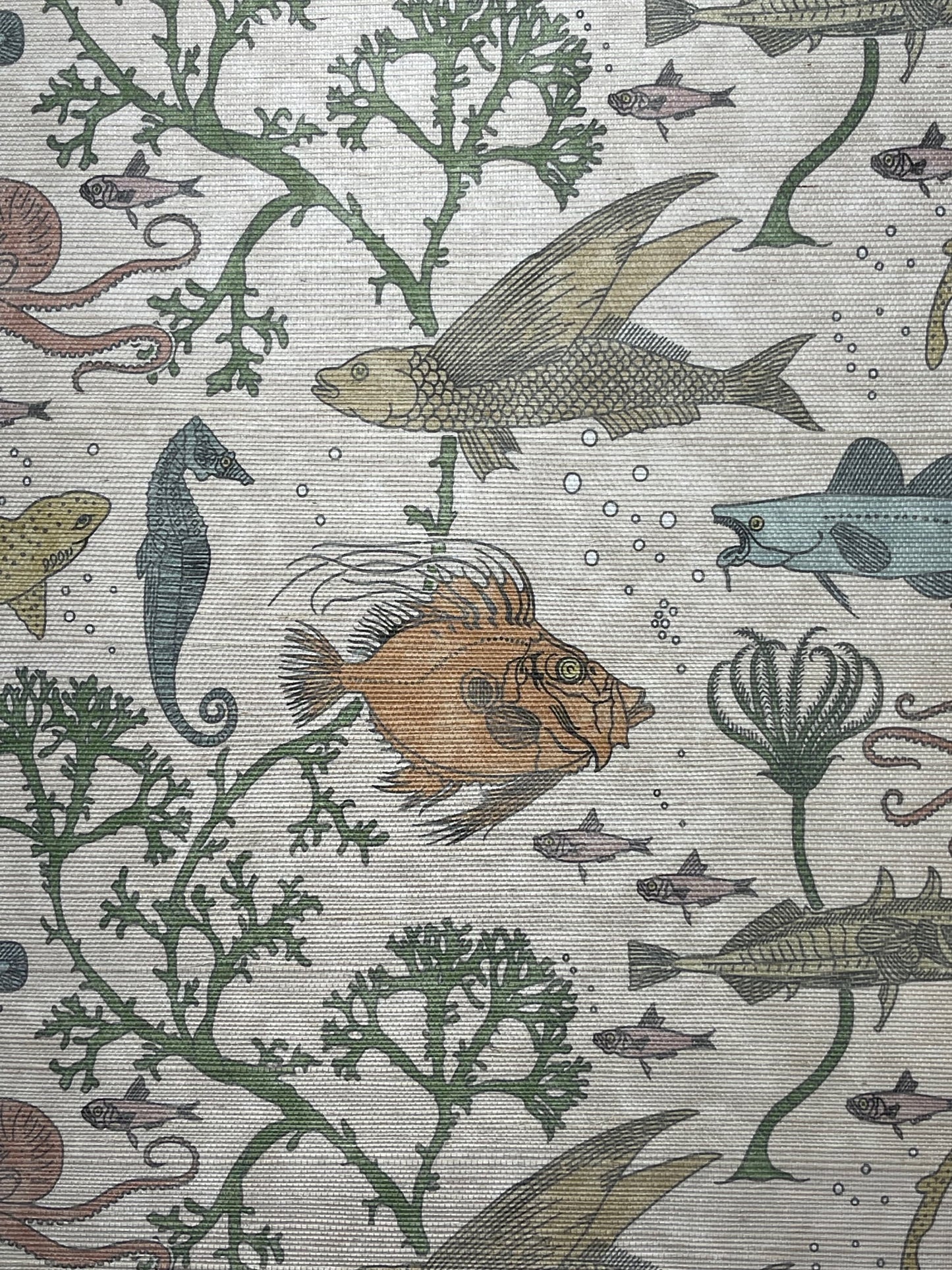 John Dory Grasscloth