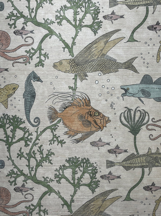 John Dory Grasscloth