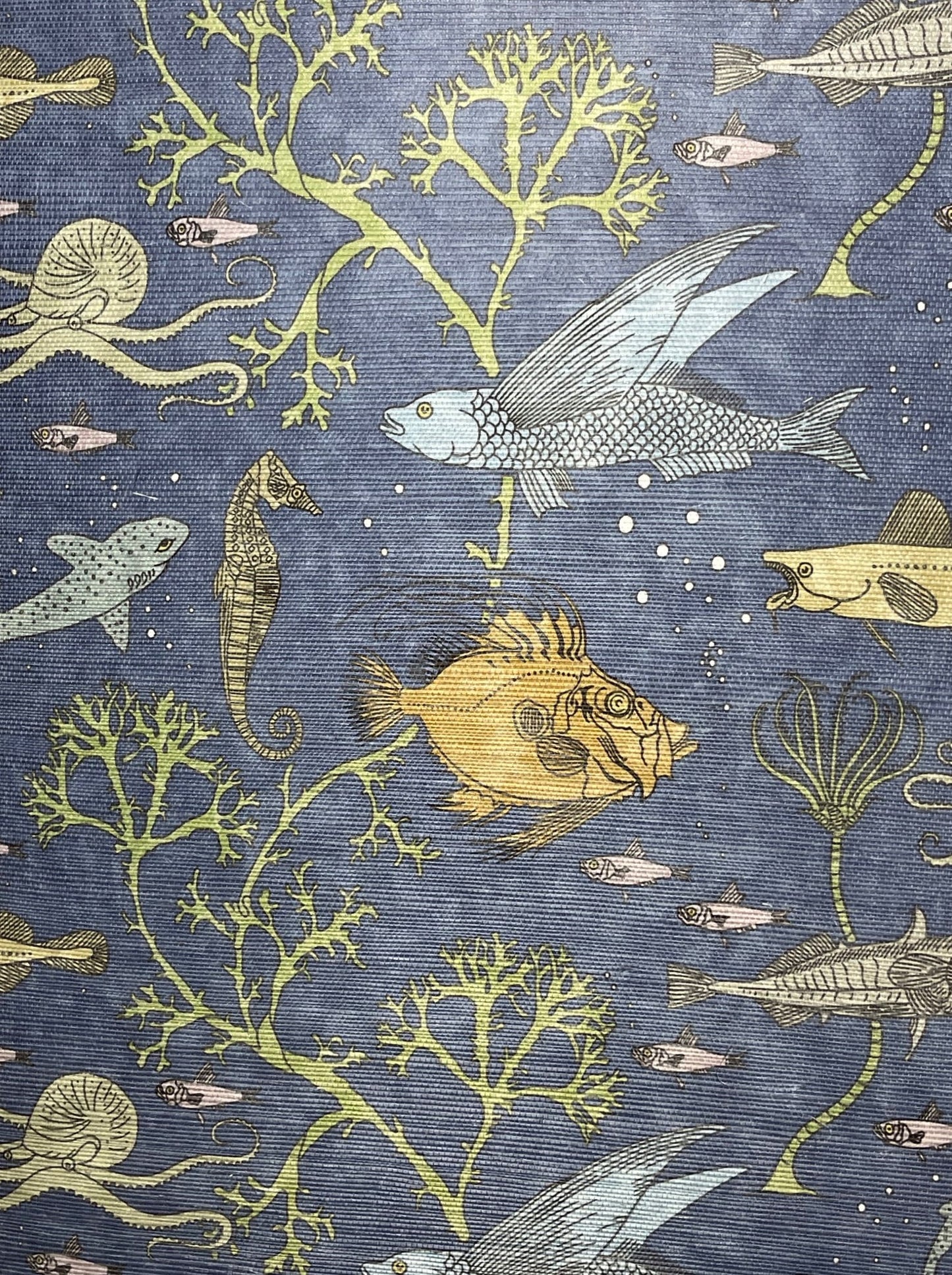 John Dory Grasscloth